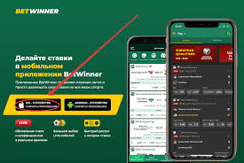Mastering the Art of Sports Betting Strategies and Insights