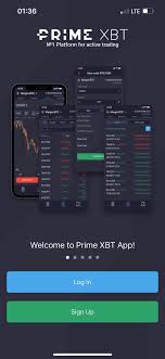 PrimeXBT vs BitMEX A Comprehensive Comparison of Cryptocurrency Exchanges PrimeXBT vs BitMEX A Comprehensive Comparison of Cryptocurrency Exchanges