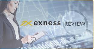 Understanding the Live Exness Platform for Traders